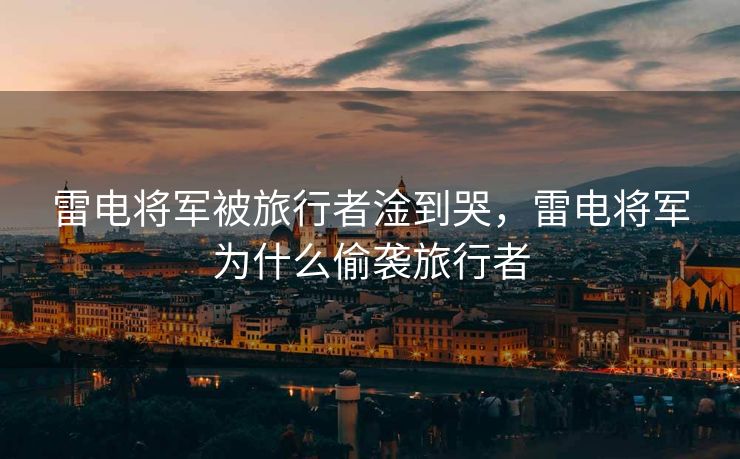 雷电将军被旅行者淦到哭，雷电将军为什么偷袭旅行者