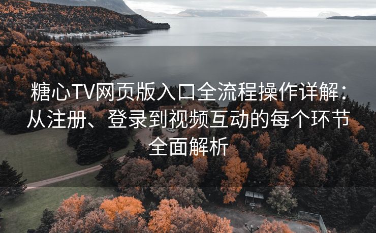 糖心TV网页版入口全流程操作详解：从注册、登录到视频互动的每个环节全面解析