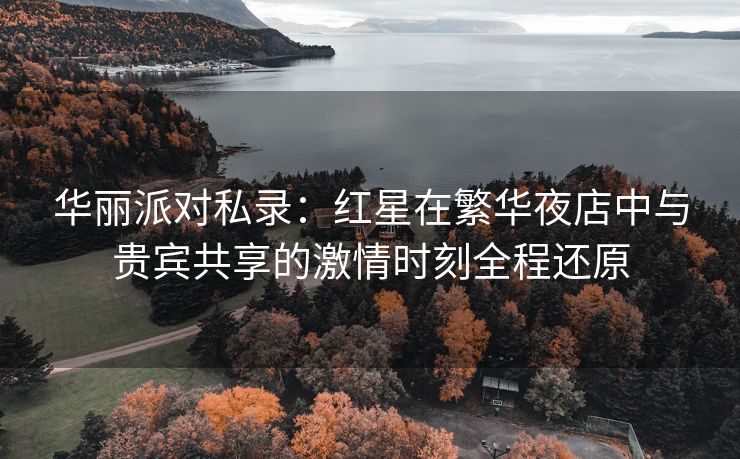 华丽派对私录：红星在繁华夜店中与贵宾共享的激情时刻全程还原