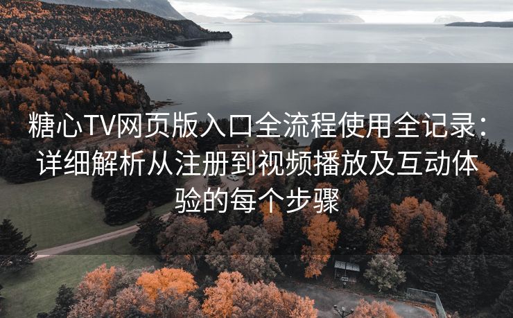 糖心TV网页版入口全流程使用全记录：详细解析从注册到视频播放及互动体验的每个步骤