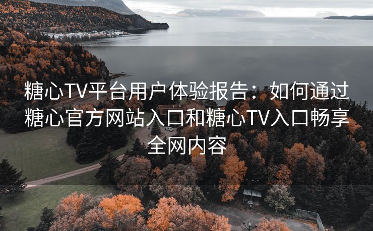 糖心TV平台用户体验报告：如何通过糖心官方网站入口和糖心TV入口畅享全网内容
