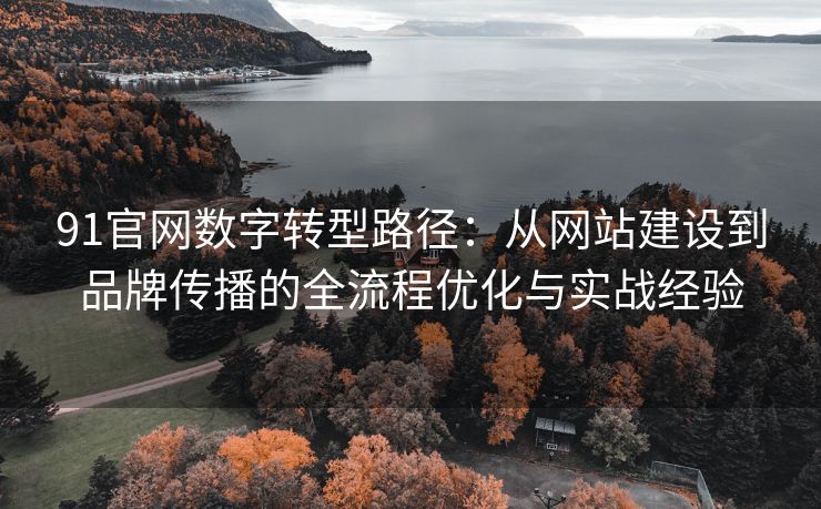 91官网数字转型路径：从网站建设到品牌传播的全流程优化与实战经验