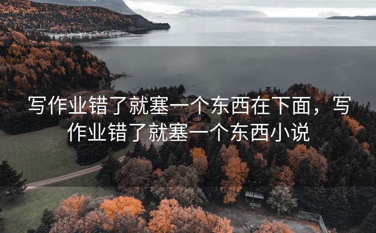 写作业错了就塞一个东西在下面，写作业错了就塞一个东西小说